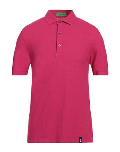 Drumohr Man Polo Shirt Fuchsia Size S Cotton, Linen In Pink