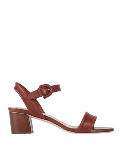 Tod's Woman Sandals Cocoa Size 6.5 Soft Leather In Brown