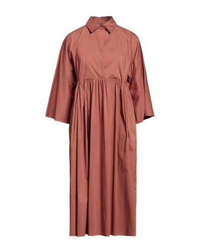 Liviana Conti Woman Midi Dress Light Brown Size 12 Cotton, Polyamide, Elastane In Beige