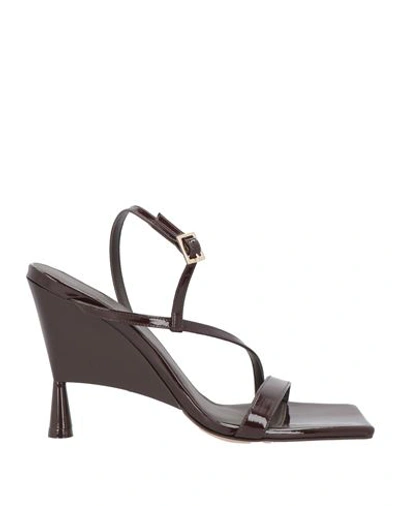 Gia Rhw Gia / Rhw Woman Sandals Chocolate Brown Size 9 Soft Leather