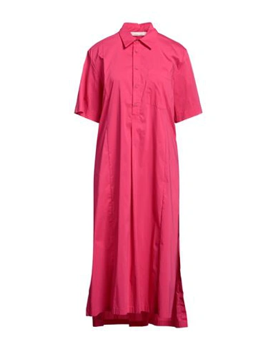Liviana Conti Woman Midi Dress Fuchsia Size 6 Cotton, Polyamide, Elastane In Pink