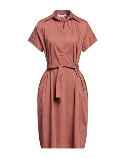 Liviana Conti Woman Midi Dress Light Brown Size 12 Cotton, Polyamide, Elastane In Beige