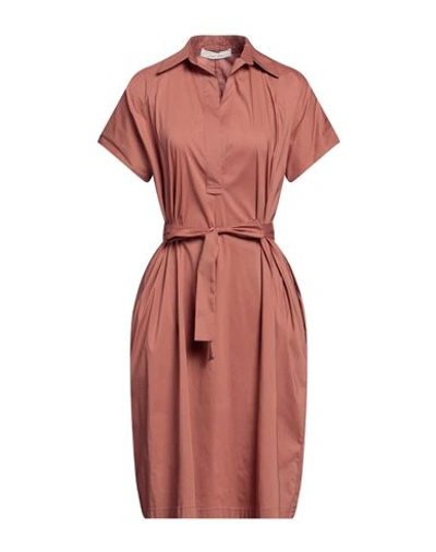 Liviana Conti Woman Midi Dress Light Brown Size 10 Cotton, Polyamide, Elastane In Beige