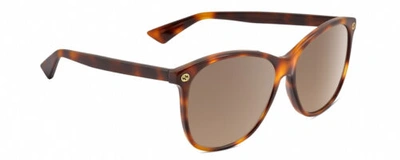 Pre-owned Gucci Gg0024s Unisex Square Designer Sunglasses Brown Tortoise Havana/brown 58mm In Multicolor