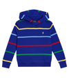 Polo Ralph Lauren Printed Cotton-blend Fleece Hoodie In Blue