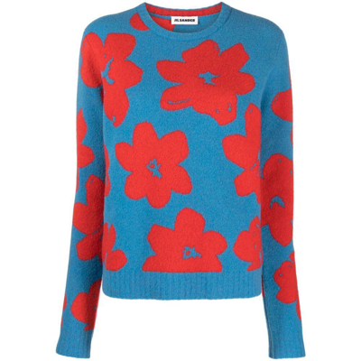 Jil Sander Sweaters In Blue/red