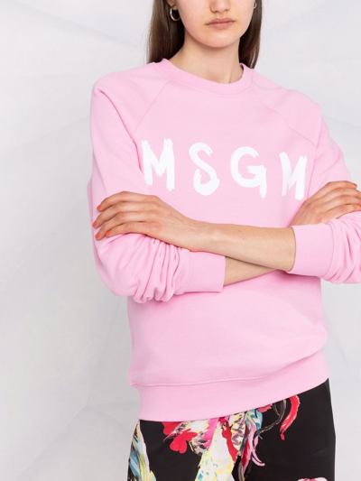 Msgm Cotton Sweatshirt In Pink