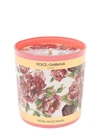 DOLCE & GABBANA MUSK ROSE SCENTED CANDLE