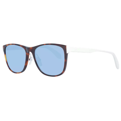 Adidas Originals Brown Men Sunglasses