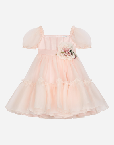 Dolce & Gabbana Silk Organza Dress In Pink