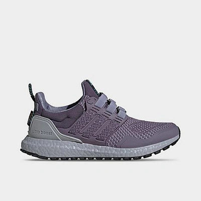 Adidas Originals Adidas Women's Ultraboost 1.0 Running Shoes In Shadow Violet/shadow Violet/silver Violet