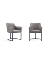 Manhattan Comfort Serena 2-piece Faux Leather Upholstered Dining Armchair Set In Gray