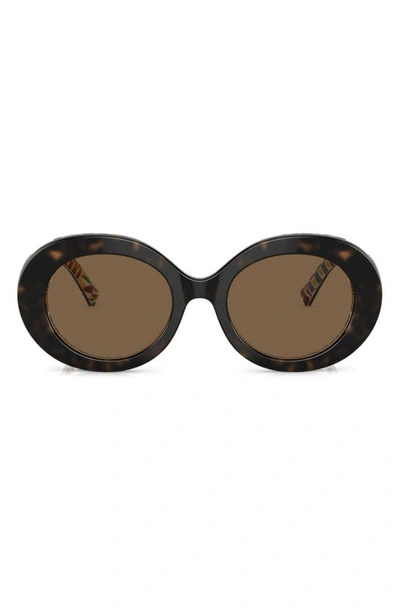 Dolce & Gabbana Oval Sunglasses, 51mm In Brown/brown Solid