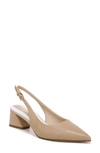 Franco Sarto Racer Slingback Pointed Toe Pump In Dark Beige/ Dark Beige