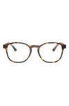 Ray Ban 52mm Phantos Optical Glasses In Havana