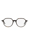 Ray Ban Thalia 51mm Square Optical Glasses In Havana