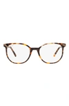 Ray Ban Elliot 50mm Irregular Optical Glasses In Grey Havana