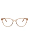 Tory Burch 53mm Pillow Optical Glasses In Brown