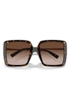 Tiffany & Co 55mm Gradient Square Sunglasses In Havana