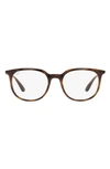 Ray Ban 53mm Square Optical Glasses In Havana