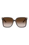 Tiffany & Co 58mm Gradient Square Sunglasses In Havana
