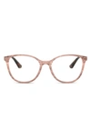 Dolce & Gabbana 54mm Butterfly Optical Glasses In Caramel