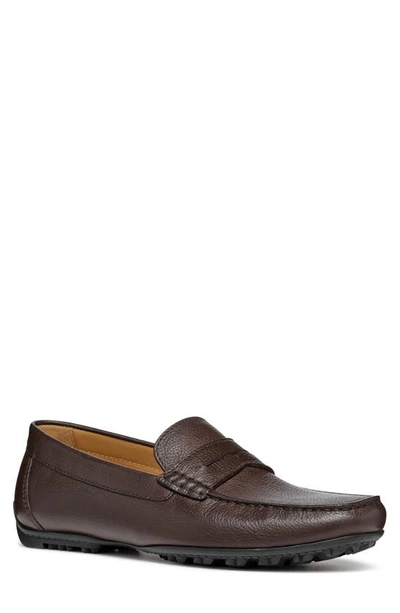 Geox Kosmopolis Grip Penny Loafer In Dark Brown