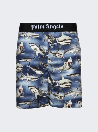 Palm Angels Sharks Easy Shorts In Blue