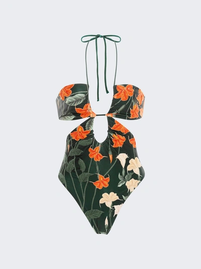 Agua By Agua Bendita Majorana Cutout Floral-print Recycled Swimsuit In Multi