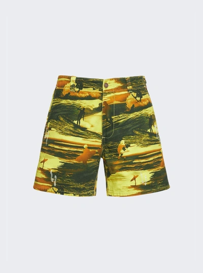 Erl Printed Cotton Shorts In Multi