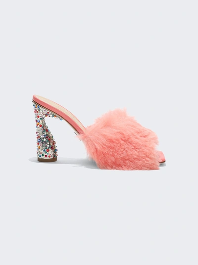 Paul Andrew Arc Fluffy Jeweled Mules In Pink