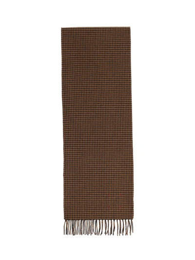 Destin Scarfs In Brown