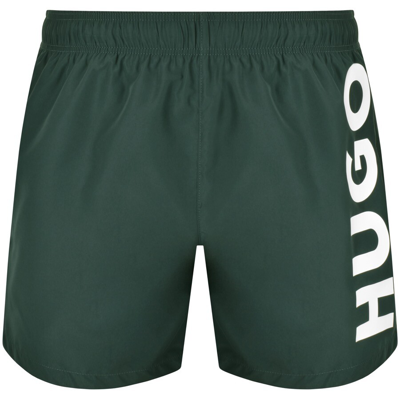 Hugo Abas Swim Shorts Green