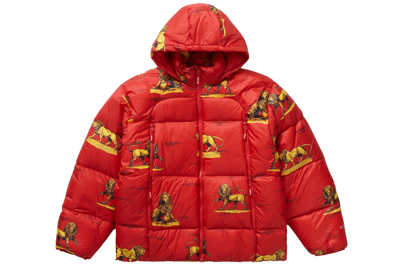 Pre-owned Supreme Featherweight Down Puffer Jacket Lions