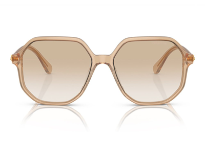 Swarovski Women's Sunglasses, Gradient Sk6003 In Opaline Light Brown