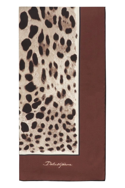 Dolce & Gabbana Leopard-print Cashmere-blend Scarf In Brown