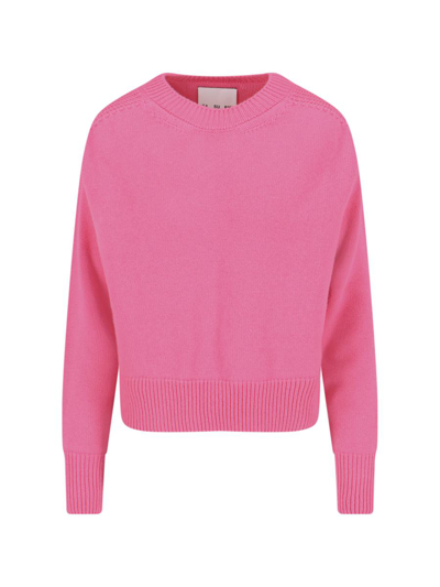 Sa Su Phi Round-neck Cashmere Sweater In Pink