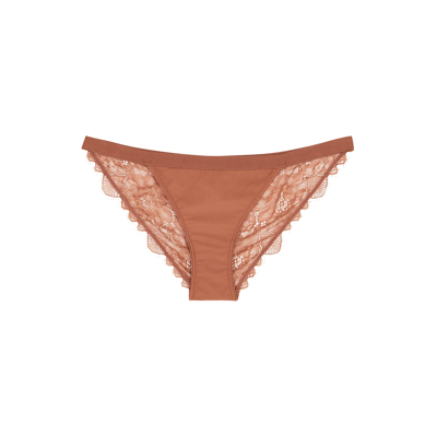 Love Stories Wild Rose Brown Lace Briefs In Light Brown