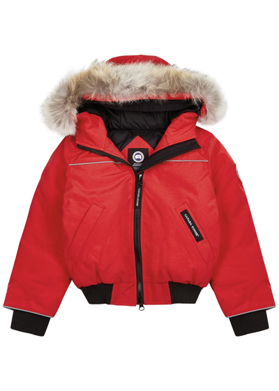 Canada Goose Grizzly Fur-trimmed Arctic-tech Bomber Jacket In Red