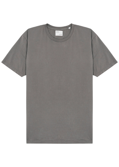 Colorful Standard Cotton T-shirt In Grey