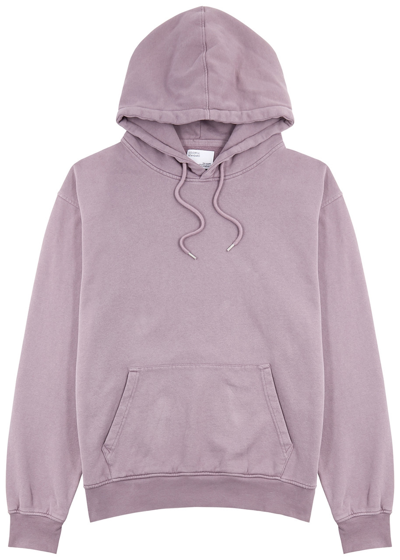Colorful Standard Hooded Cotton Sweatshirt In Lilac