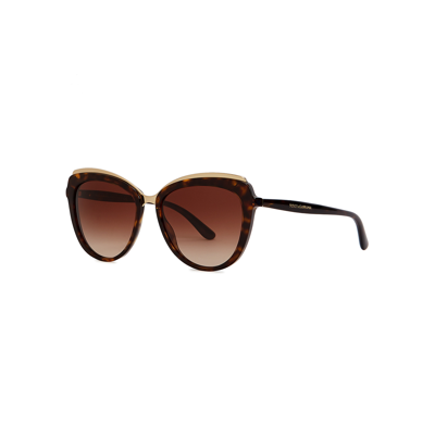 Dolce & Gabbana Tortoiseshell Cat-eye Sunglasses, Sunglasses, Brown In Black