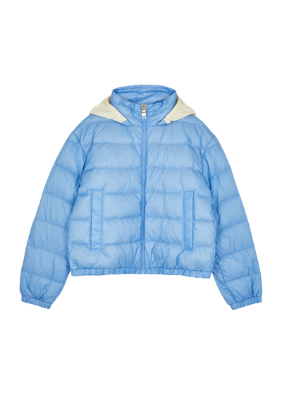 Moncler Kids Musa Quilted Shell Jacket (12-14 Years) In Light Blue