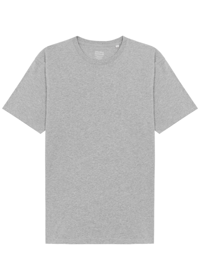 Colorful Standard Cotton T-shirt In Light Grey