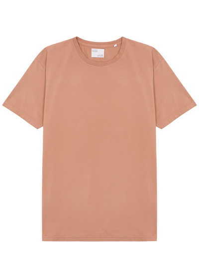 Colorful Standard Cotton T-shirt In Orange