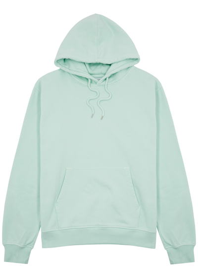 Colorful Standard Hooded Cotton Sweatshirt In Turquoise