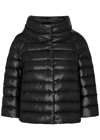 Herno Glossy Quilted Nylon Crop Down Jacket In Black