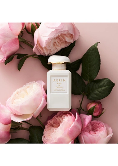 Aerin Rose De Grasse Joyful Bloom Eau De Parfum 50ml In White