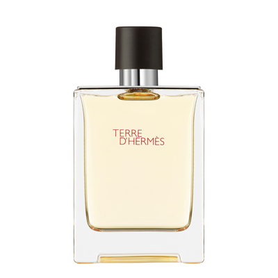 Hermes Hermès Terre D'hermès Eau De Toilette 100ml In White