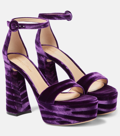 Gianvito Rossi 天鹅绒防水台凉鞋 In Purple